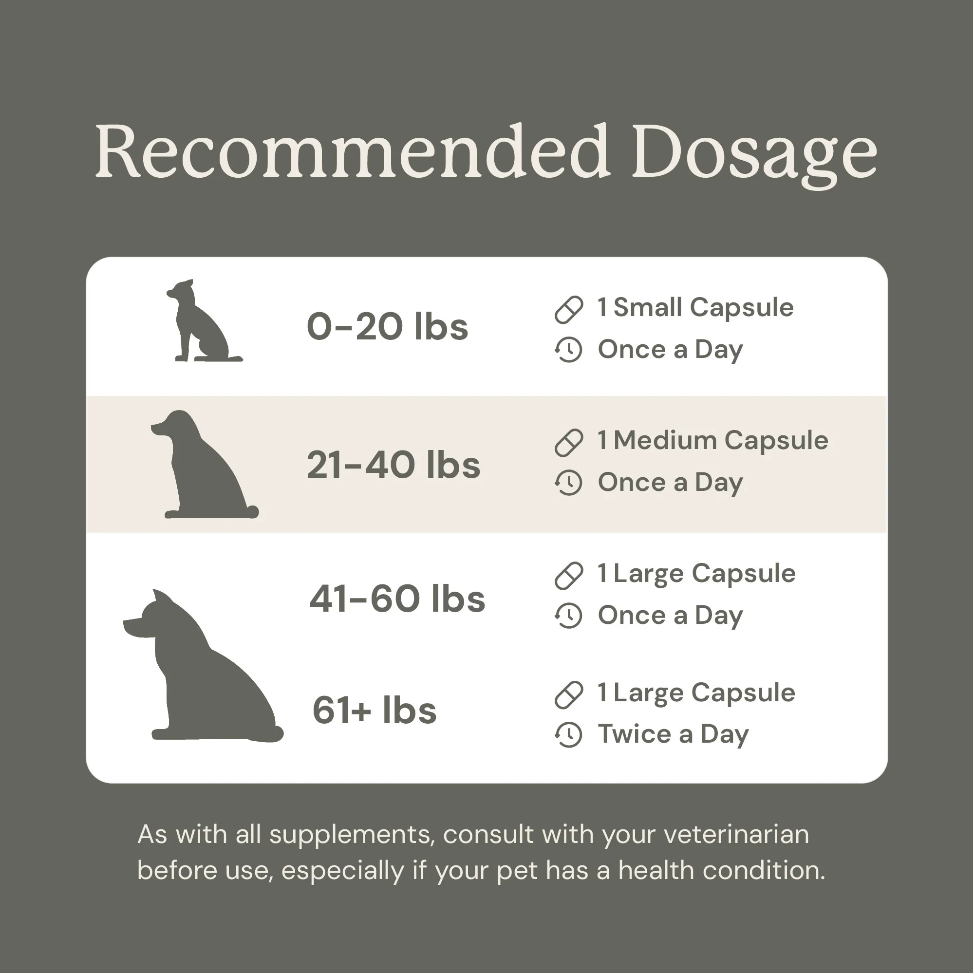 Gut Maintenance Plus Supplement - Image 6